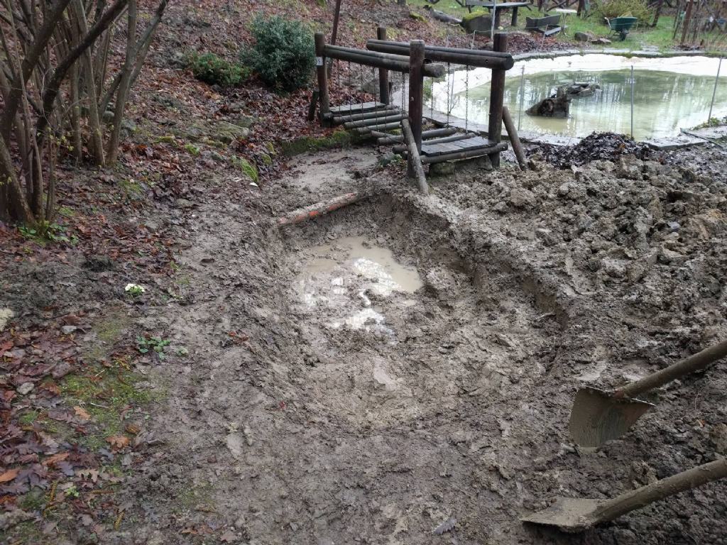 Lo stagno didattico di Valbonella - Bagno di Romagna (FC)